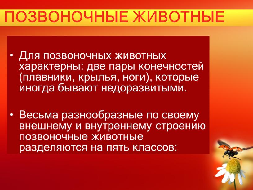 ПОЗВОНОЧНЫЕ ЖИВОТНЫЕ Для позвоночных животных характерны: две пары конечностей (плавники, крылья, ноги), которые иногда бывают недоразвитыми