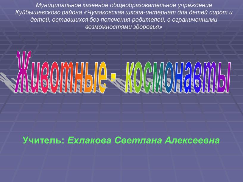 Животные - космонавты Муниципальное казенное общеобразовательное учреждение