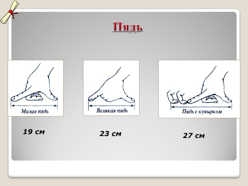 Пядь 19 см 23 см 27 см