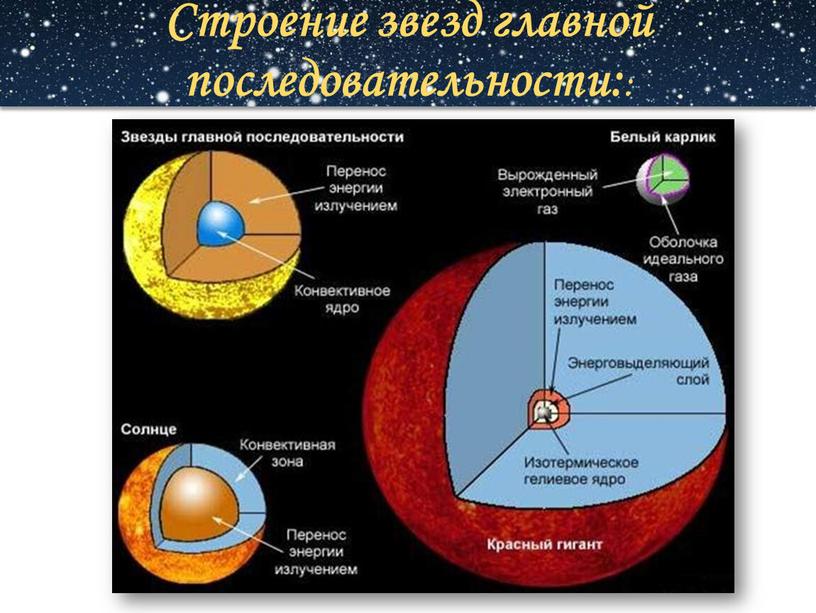 Строение звезд главной последовательности: :