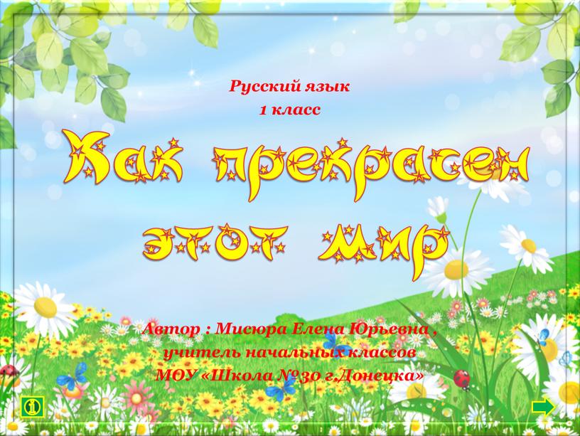 Русский язык 1 класс Автор : Мисюра
