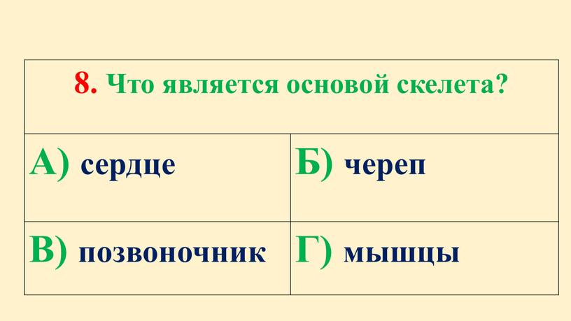 Что является основой скелета? А) сердце