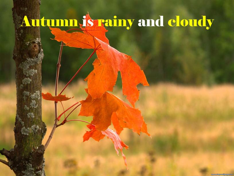 Autumn is rainy and cloudy