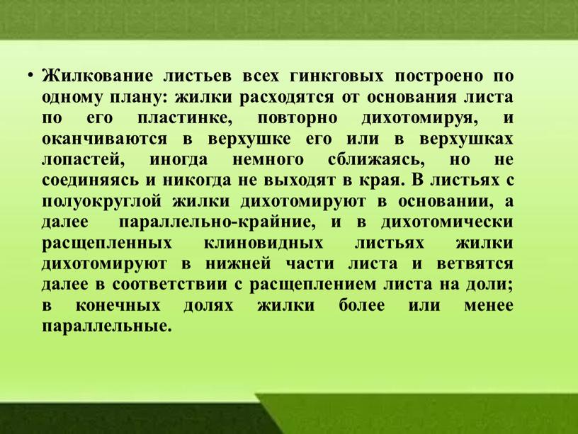 Жилкование листьев всех гинкговых построено по одному плану: жилки расходятся от основания листа по его пластинке, повторно дихотомируя, и оканчиваются в верхушке его или в…