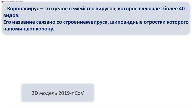 Коронавирус – это целое семейство вирусов, которое включает более 40 видов