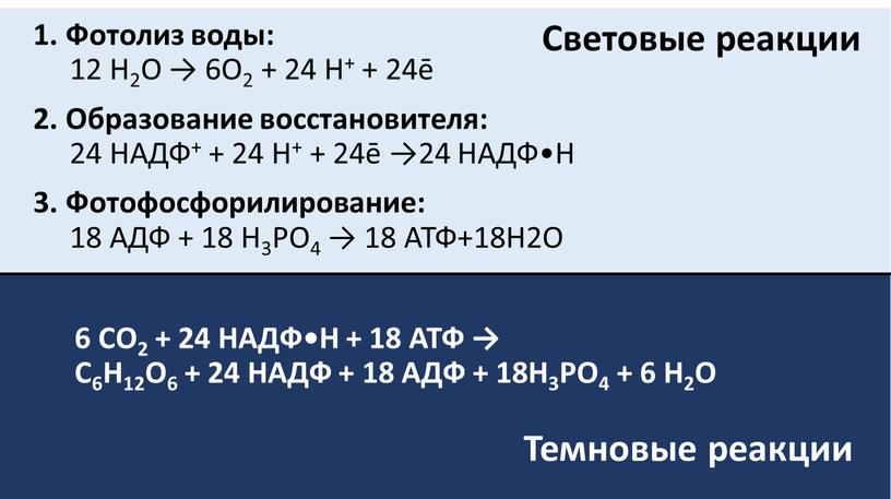 Фотолиз воды: 12 H2O → 6O2 + 24