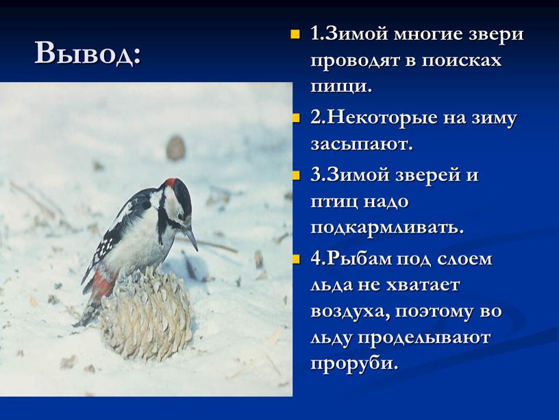 Вывод: 1.Зимой многие звери проводят в поисках пищи