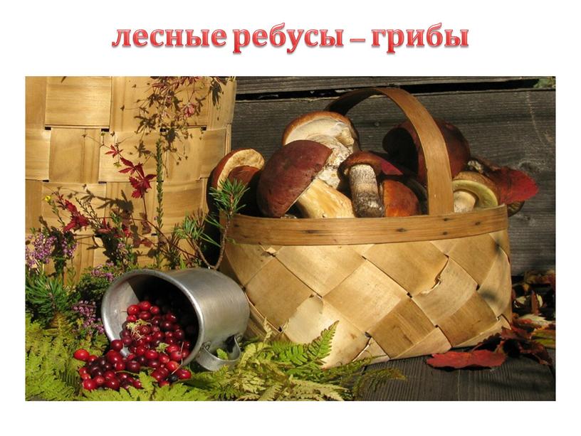 лесные ребусы – грибы