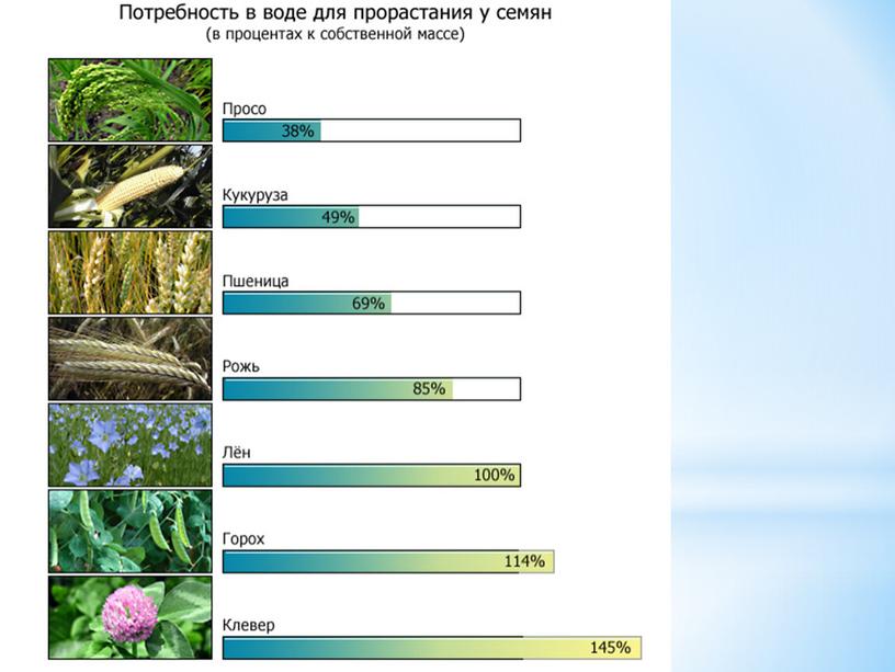 Условия прорастания семян растений, 6 класс, биология