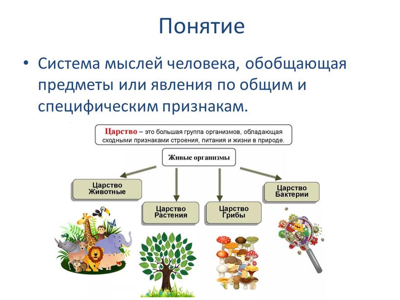 Понятие Система мыслей человека, обобщающая предметы или явления по общим и специфическим признакам