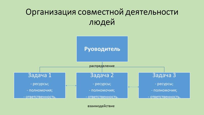 Организация совместной деятельности людей распределение взаимодействие