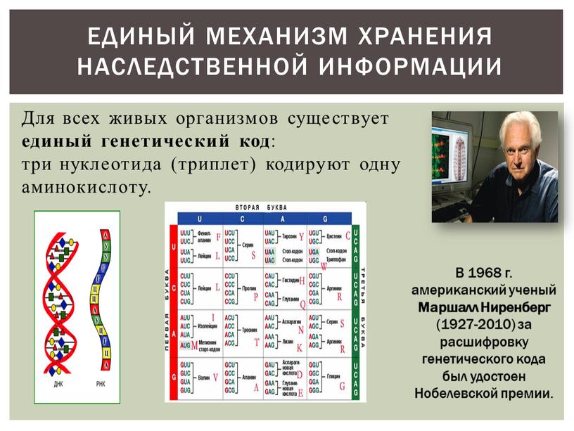 Единый механизм хранения наследственной информации