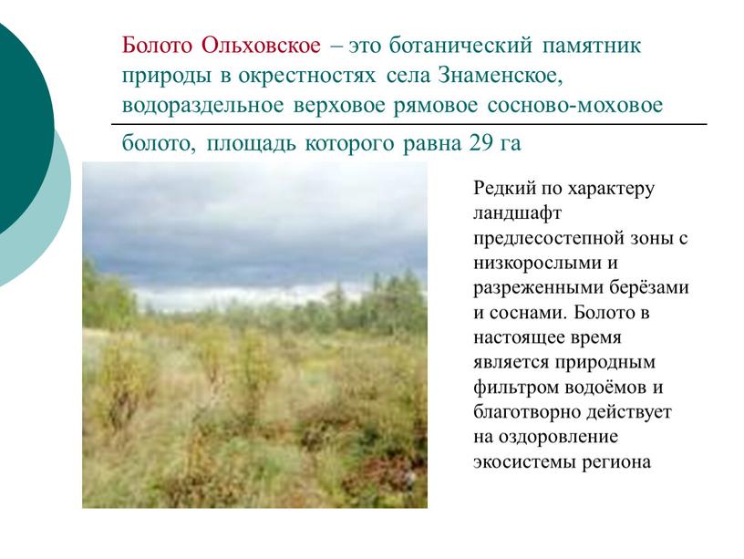 Болото Ольховское – это ботанический памятник природы в окрестностях села