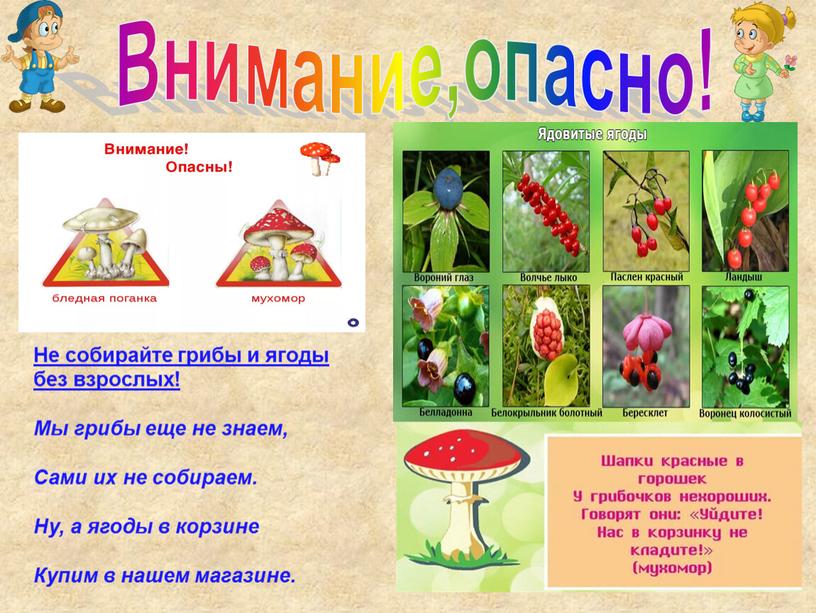 Внимание,опасно! Не собирайте грибы и ягоды без взрослых!