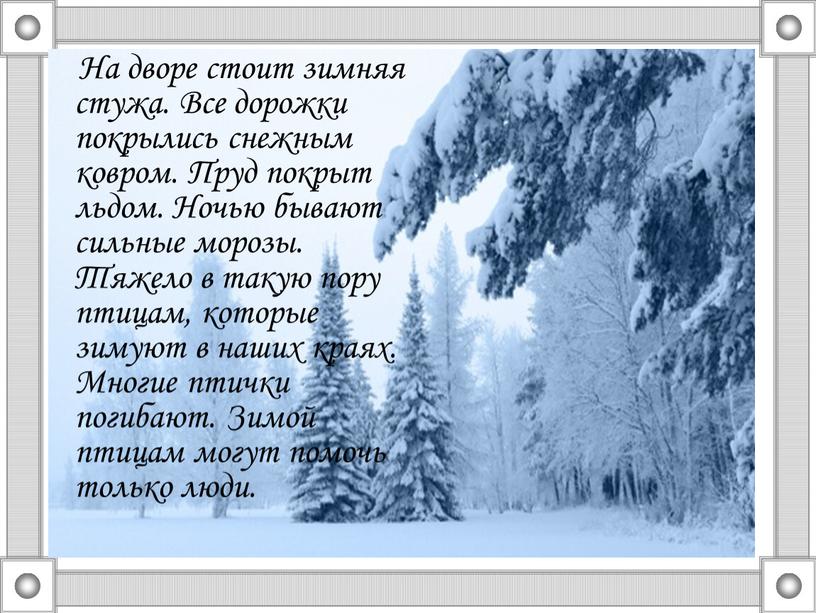 На дворе стоит зимняя стужа. Все дорожки покрылись снежным ковром