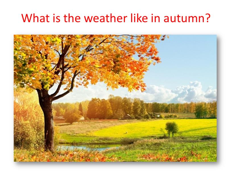 What is the weather like in autumn?