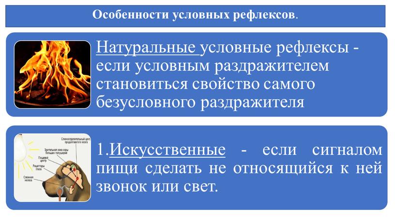 Особенности условных рефлексов