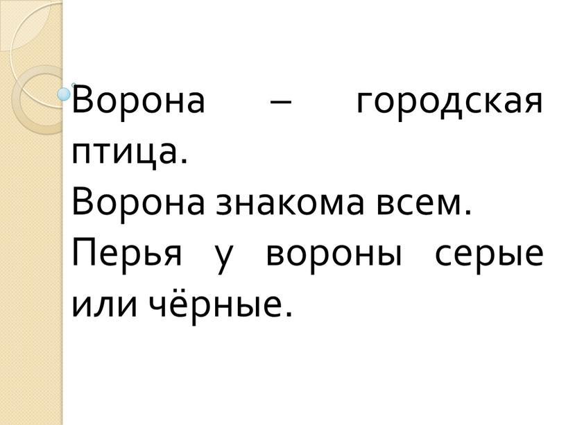 Ворона – городская птица. Ворона знакома всем