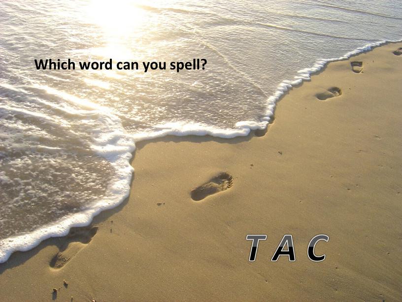 Which word can you spell? T A C