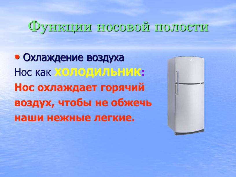 Функции носовой полости Охлаждение воздуха