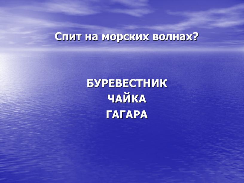 Спит на морских волнах? БУРЕВЕСТНИК