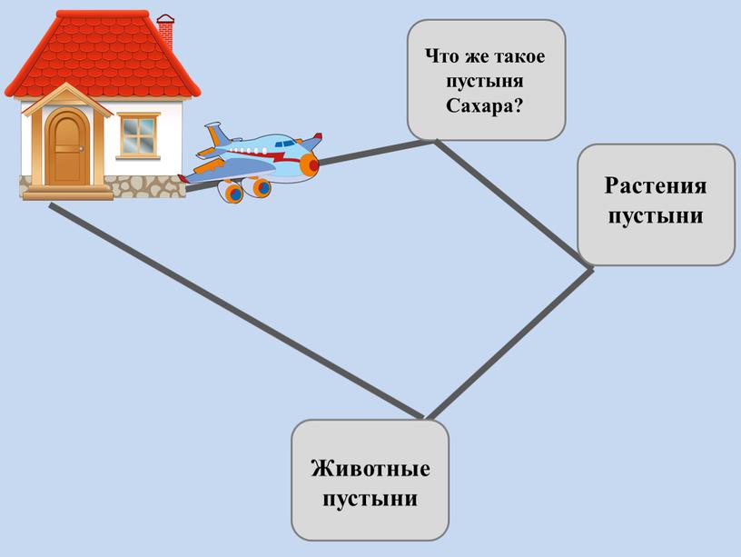 Что же такое пустыня Сахара? Растения пустыни