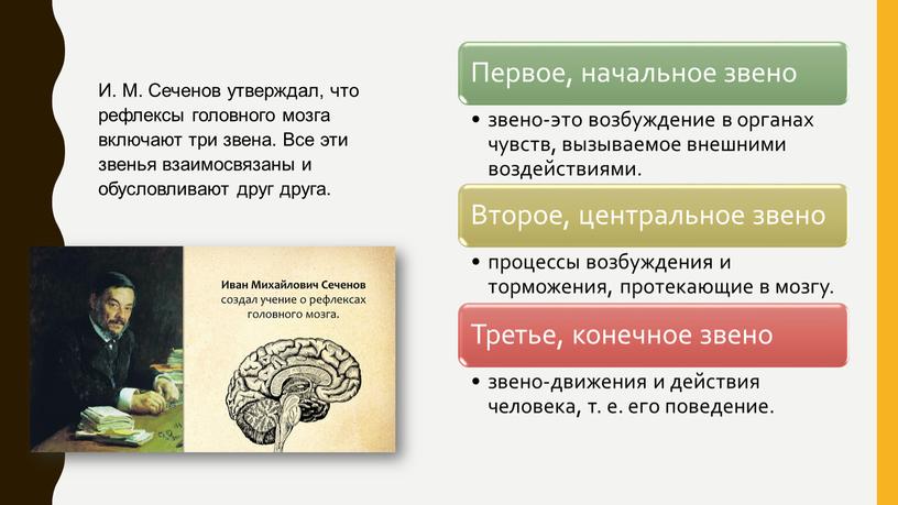 И. М. Сеченов утверждал, что рефлексы головного мозга включают три звена