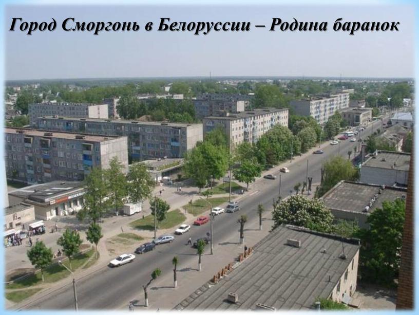 Город Сморгонь Гродненская область