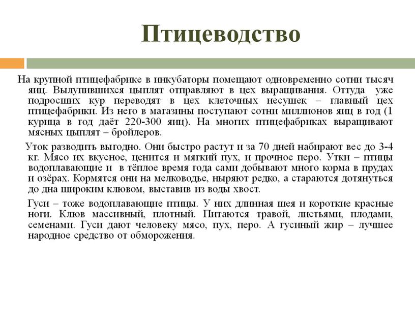 Птицеводство На крупной птицефабрике в инкубаторы помещают одновременно сотни тысяч яиц