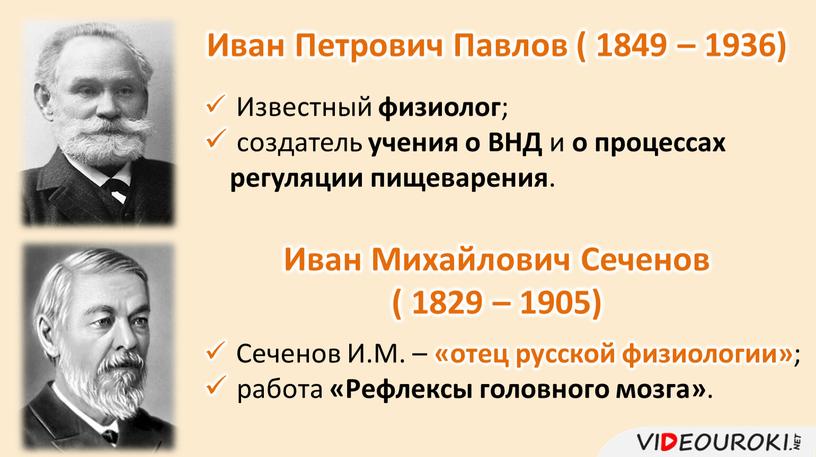 Иван Петрович Павлов ( 1849 – 1936)