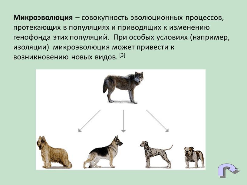 Микроэволюция – совокупность эволюционных процессов, протекающих в популяциях и приводящих к изменению генофонда этих популяций