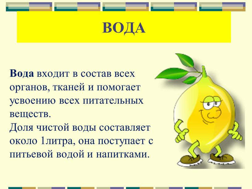 Вода входит в состав всех органов, тканей и помогает усвоению всех питательных веществ