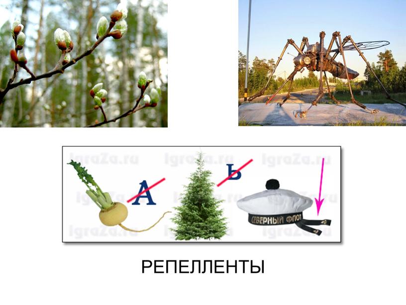 РЕПЕЛЛЕНТЫ