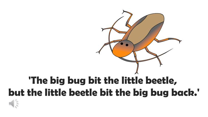 The big bug bit the little beetle, but the little beetle bit the big bug back