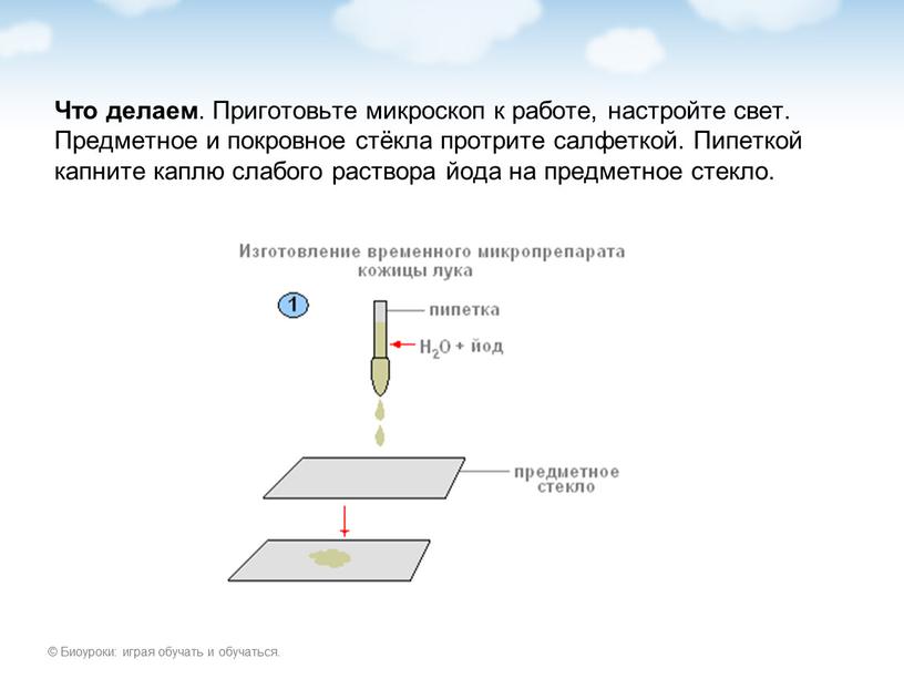 Что делаем . Приготовьте микроскоп к работе, настройте свет