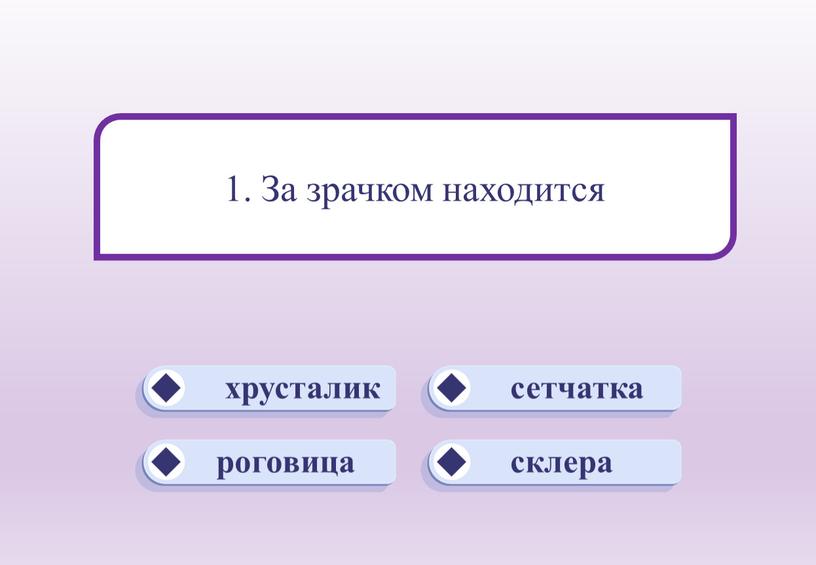 хрусталик сетчатка склера роговица 1. За зрачком находится