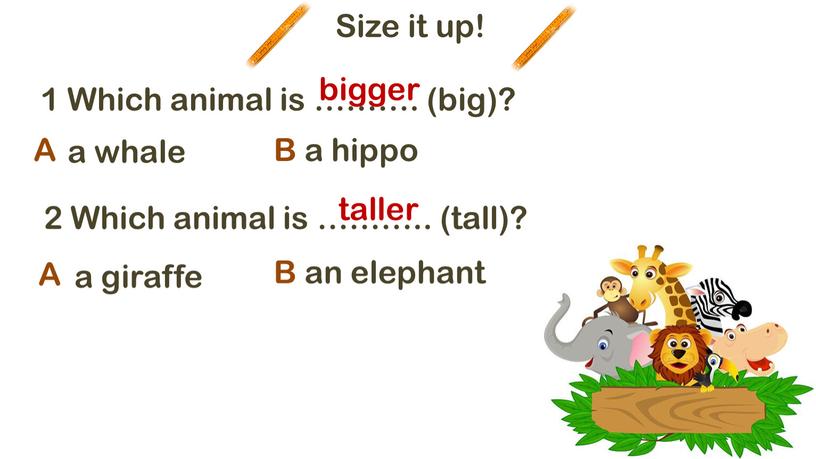 Size it up! 1 Which animal is ………