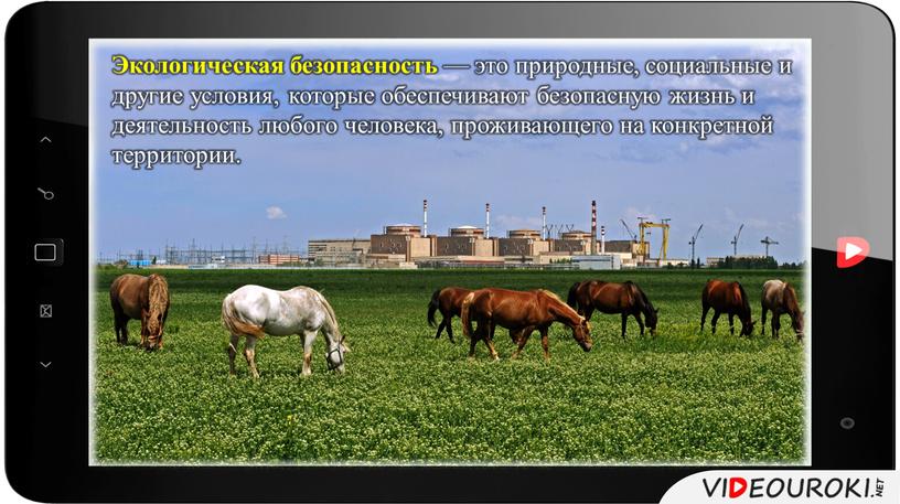 Экологическая безопасность — это природные, социальные и другие условия, которые обеспечивают безопасную жизнь и деятельность любого человека, проживающего на конкретной территории