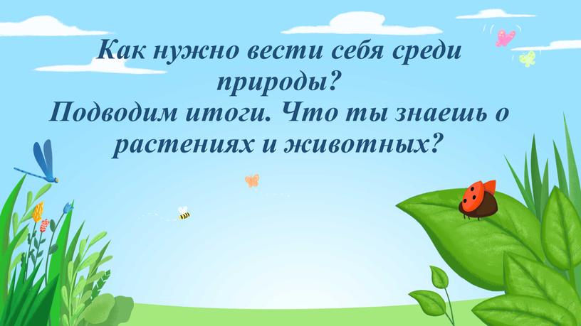 Как нужно вести себя среди природы?