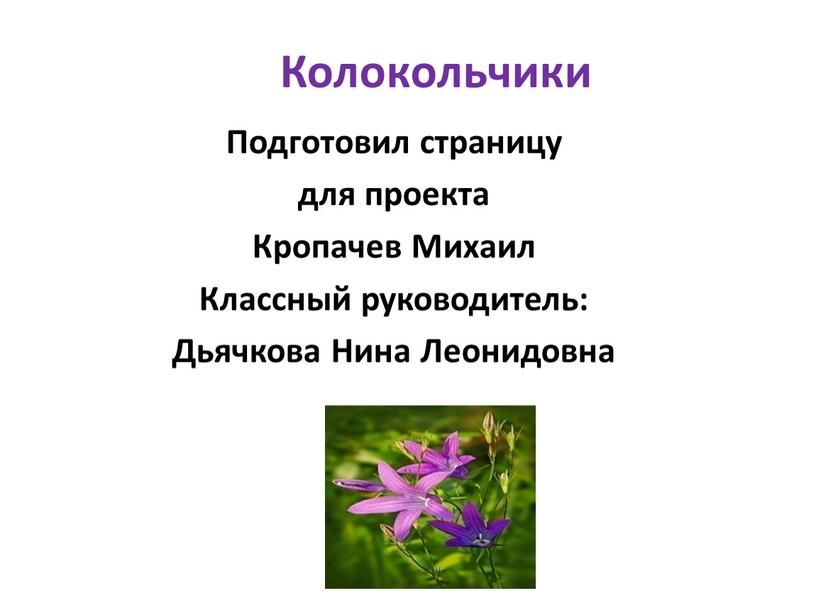 Колокольчики Подготовил страницу для проекта