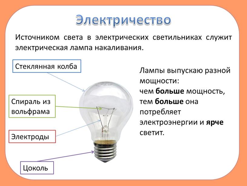 Электричество Источником света в электрических светильниках служит электрическая лампа накаливания