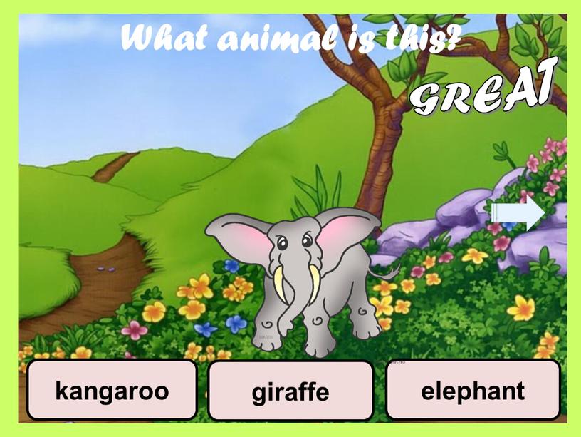 What animal is this? giraffe elephant kangaroo