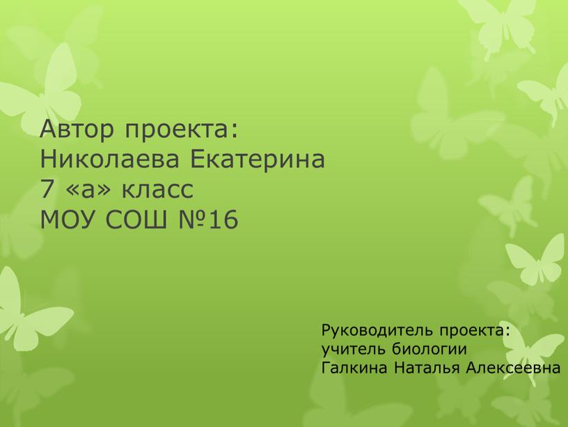 Автор проекта: Николаева Екатерина 7 «а» класс