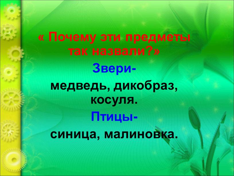 Почему эти предметы так назвали?»