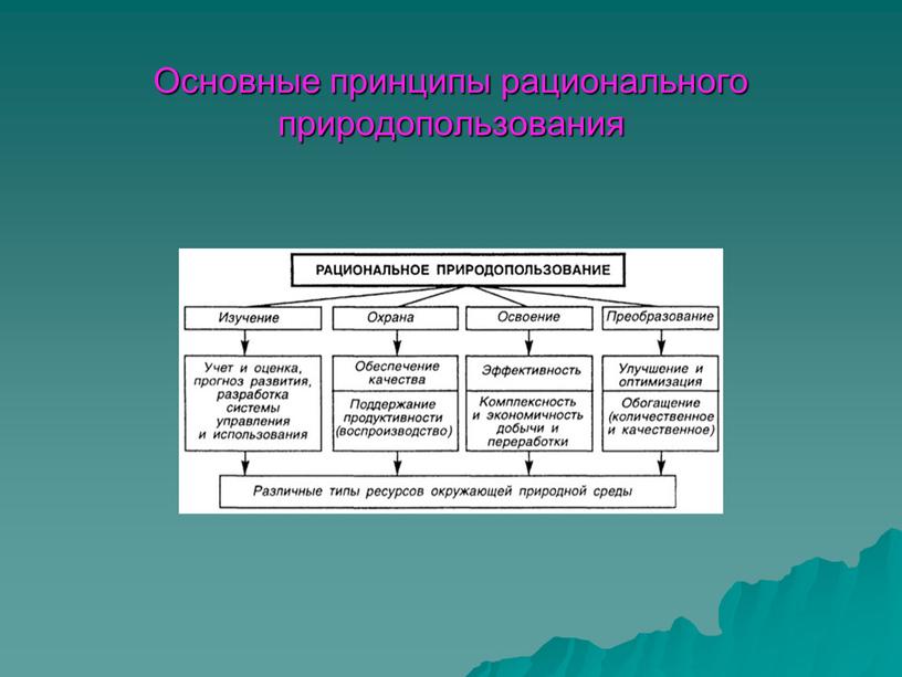 Основные принципы рационального природопользования