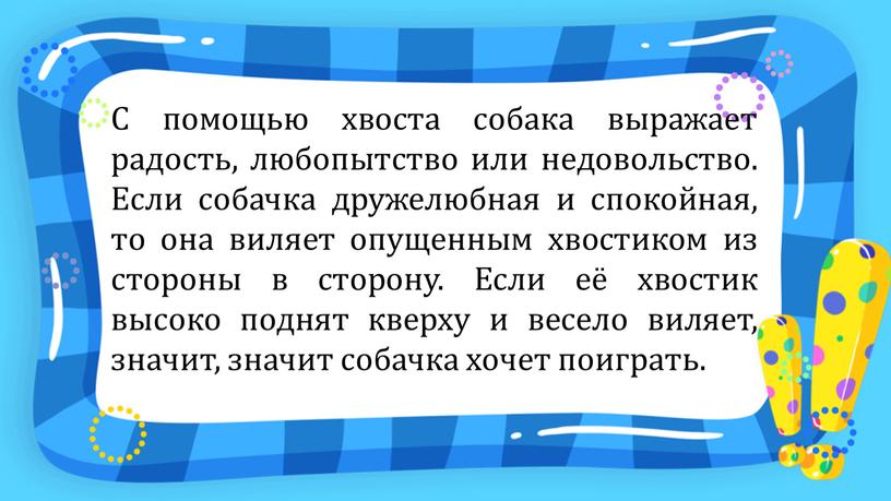 С помощью хвоста собака выражает радость, любопытство или недовольство