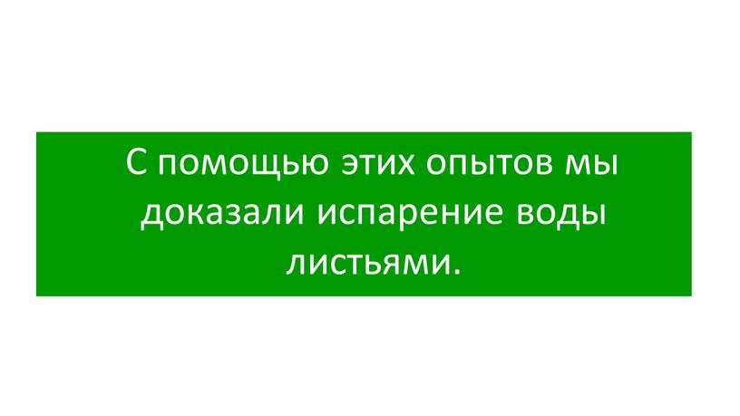 С помощью этих опытов мы доказали испарение воды листьями