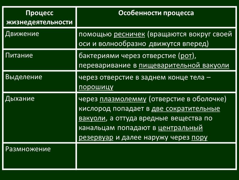 Процесс жизнедеятельности Особенности процесса