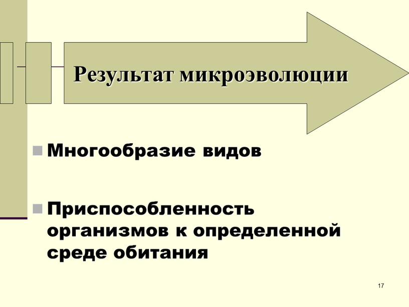 Результат микроэволюции Многообразие видов