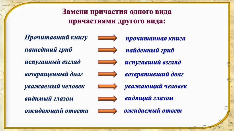 Прочитавший книгу нашедший гриб испуганный взгляд возвращенный долг уважаемый человек видимый глазом ожидающий ответа